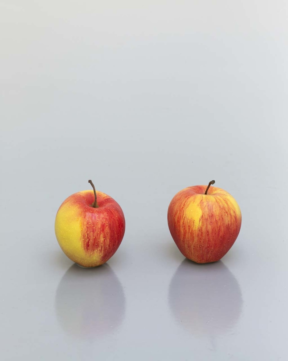 still.life (two apples), 2012